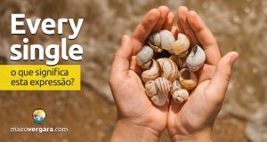 Every Single | O que significa esta expressão?