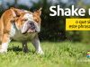 Shake Up | O que significa este phrasal verb?