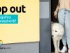 Pop Out | O que significa este phrasal verb?