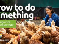Grow To Do Something │ O que significa este phrasal verb?