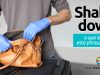 Shake Down │ O que significa este phrasal verb?