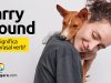 Carry Around | O que significa este phrasal verb?
