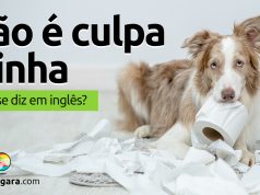 Como se diz “Não É Culpa Minha” em inglês?