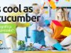 As Cool As A Cucumber | O que significa esta expressão? Descubra neste post através de vários exemplos com áudio em inglês.