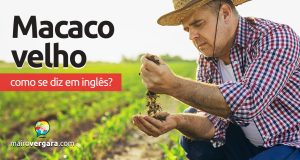 Como se diz “Macaco Velho” em inglês? Descubra neste post através de vários exemplos com áudio em inglês.