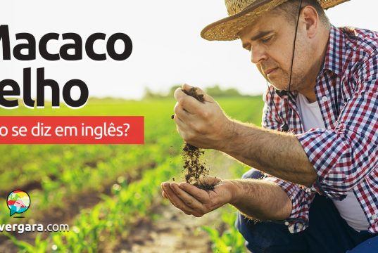 Como se diz “Macaco Velho” em inglês? Descubra neste post através de vários exemplos com áudio em inglês.