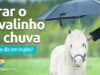 Como se diz “Pode Tirar o Cavalinho da Chuva” em inglês? Como se diz “Pode Tirar o Cavalinho da Chuva” em inglês? Descubra neste post através de vários exemplos com áudio em inglês.