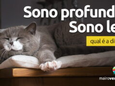 Como se diz “Sono Leve” e “Sono Profundo” em inglês? Como se diz "Sono Leve" e "Sono Profundo" em inglês? Aprenda neste post através de vários exemplos com áudio em inglês.