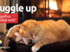Snuggle Up | O que significa este phrasal verb? Snuggle Up | O que significa este phrasal verb? Aprenda neste post através de vários exemplos com áudio em inglês.