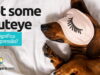 Get Some Shuteye | O que significa esta expressão? Get Some Shuteye | O que significa esta expressão? Aprenda neste post através de vários exemplos com áudio em inglês.