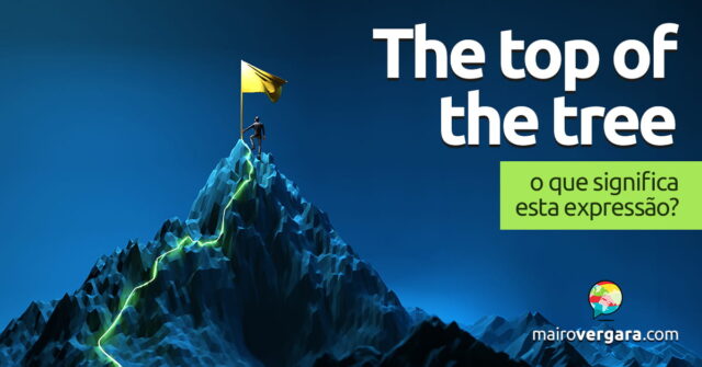 The Top Of The Tree | O que significa esta expressão? Aprenda neste post através de vários exemplos com áudio em inglês.