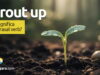 Sprout Up | O que significa este phrasal verb? Sprout Up | O que significa este phrasal verb? Aprenda neste post através de vários exemplos com áudio em inglês.
