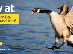 Fly At | O que significa este phrasal verb? Fly At | O que significa este phrasal verb? Aprenda neste post através de vários exemplos com áudio em inglês.