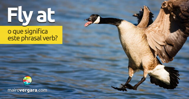 Fly At | O que significa este phrasal verb? Fly At | O que significa este phrasal verb? Aprenda neste post através de vários exemplos com áudio em inglês.