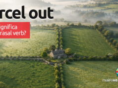 Parcel Out | O que significa este phrasal verb? Parcel Out | O que significa este phrasal verb? Aprenda neste post através de vários exemplos com áudio em inglês.